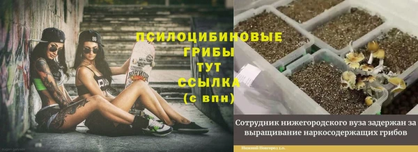 гидра Волосово